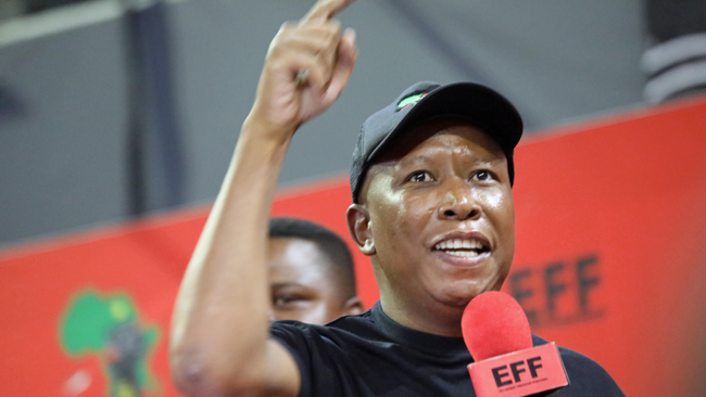 Springboks oppose Malema's agenda
